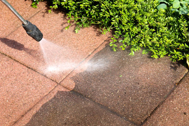 Best Roof Pressure Washing  in Medina, OH